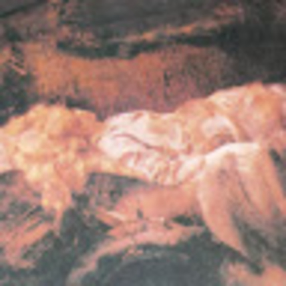 Meet your Posher, Millennium